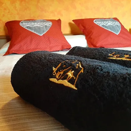 La Del Cinghiale 3* Aurano