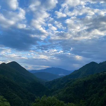 La Del Cinghiale Bed and Breakfast Aurano