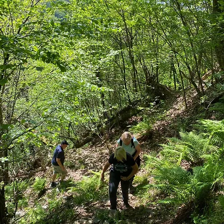 La Del Cinghiale 3* Aurano