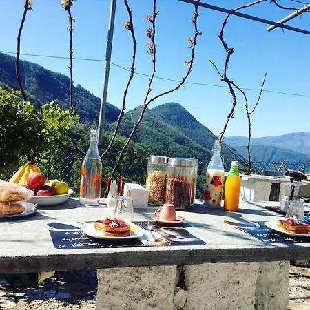 Bed & Breakfast La Del Cinghiale Aurano