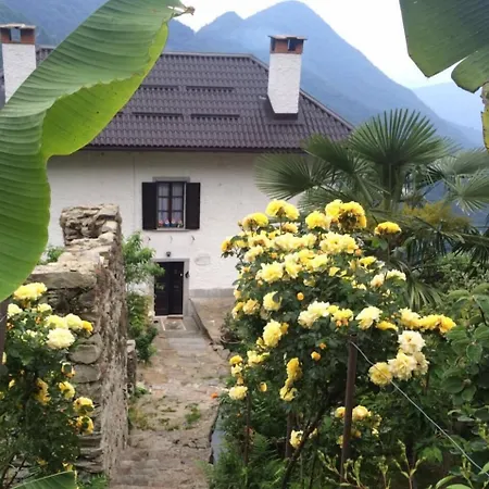 La Del Cinghiale Bed & Breakfast Aurano