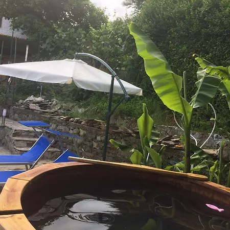 Bed & Breakfast La Del Cinghiale