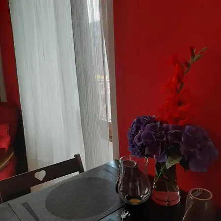 Bed & Breakfast La Del Cinghiale Aurano