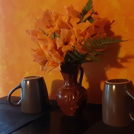 La Del Cinghiale Aurano