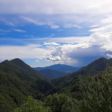 La Del Cinghiale 3*