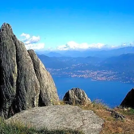 La Del Cinghiale