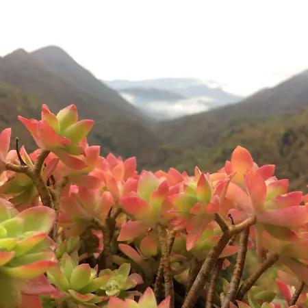 La Del Cinghiale Bed and Breakfast