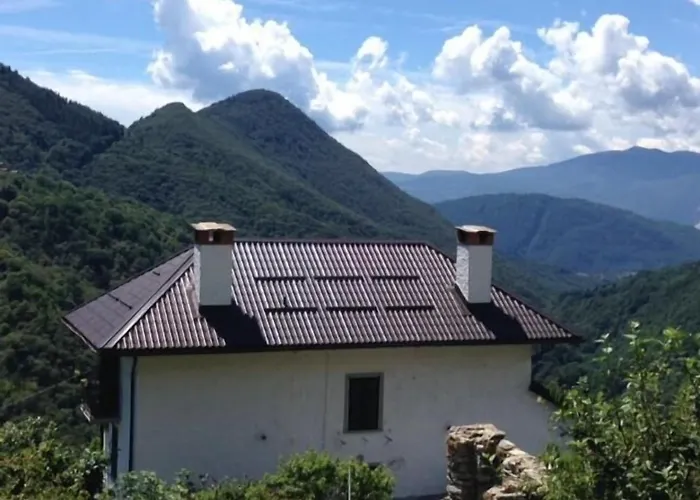 La Del Cinghiale 3*